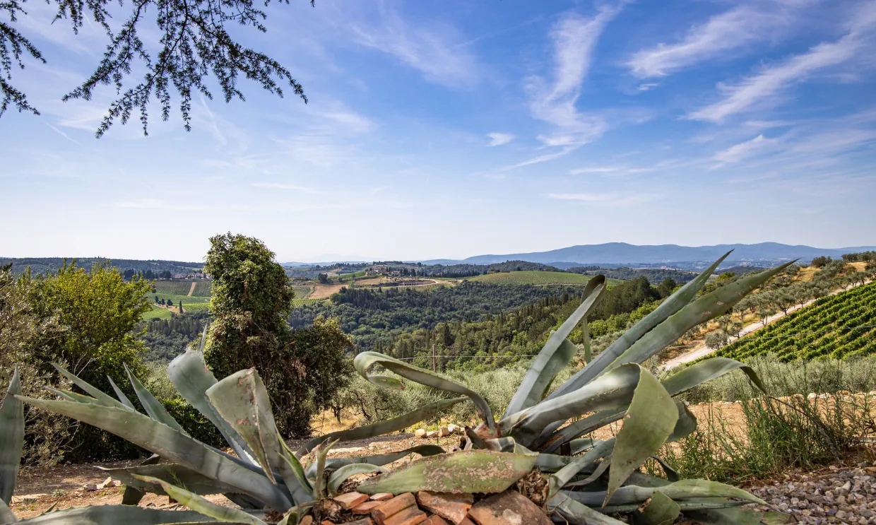 Vista panoramica dall'Agriturismo Tenuta di Macericca